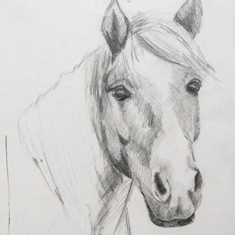 The finished graphite horse