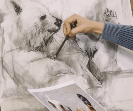 hand drawing bear on paper