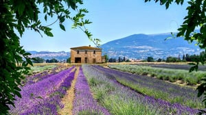 In Bloom - Assisi, Italy Retreat