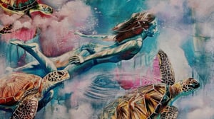 Banner BG-Sarasota-2026-1