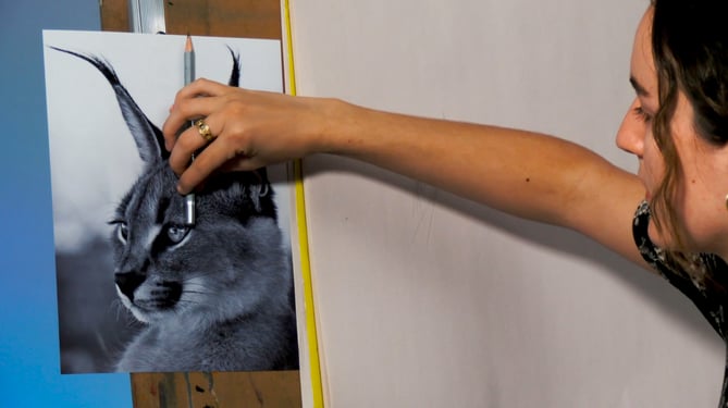 woman measuring cat picture to do pencil drawing