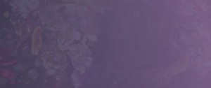 background-header