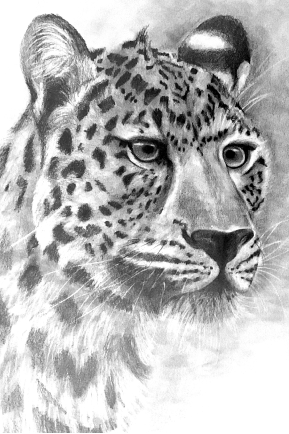 draw anything 3