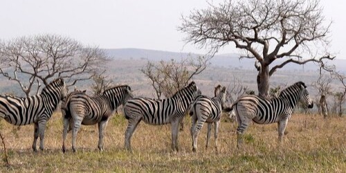 South Africa Retreat