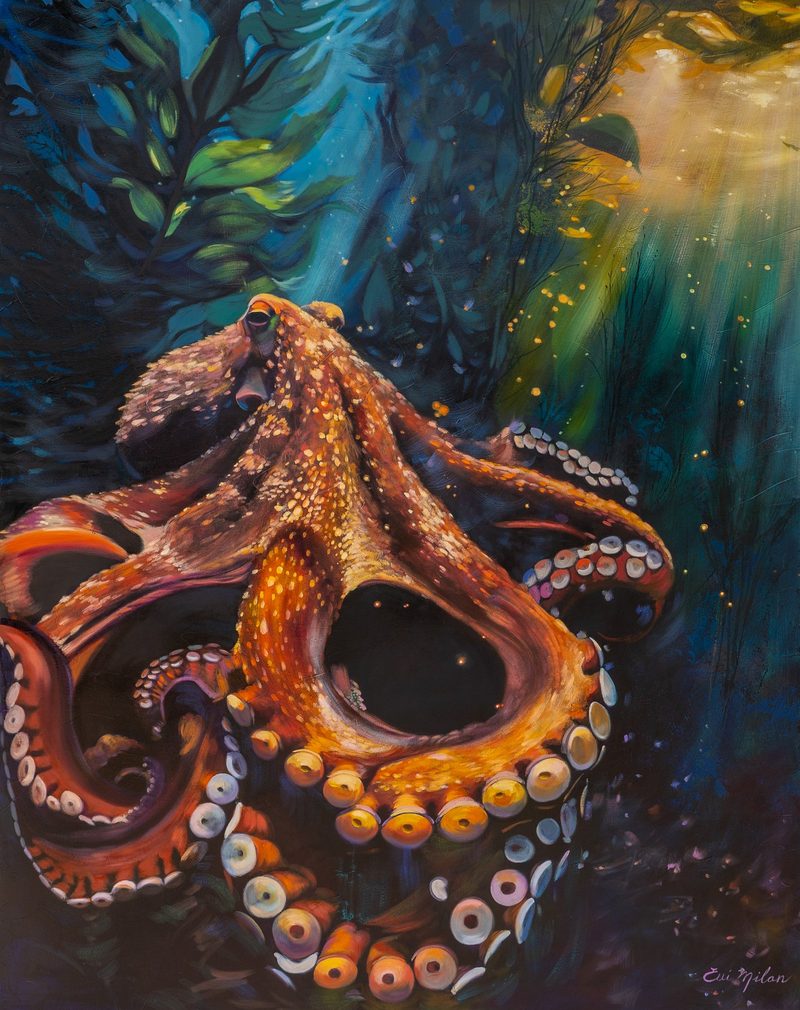 Between Ember and Tide by Elli Milan: an orange octopus in a dark teal kelp forest