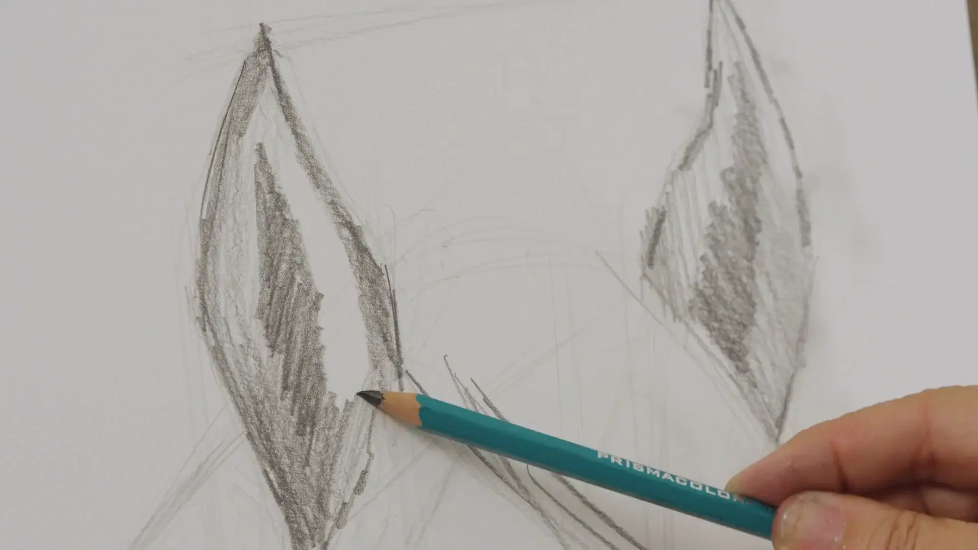 Graphite shading going into the horse's ears