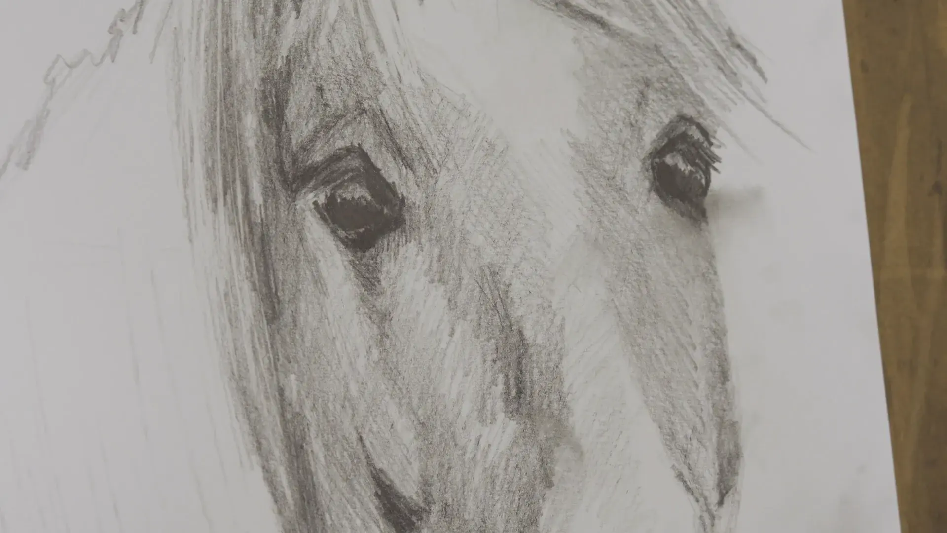 Both finished horse eyes and the soft hatched mane on textured paper