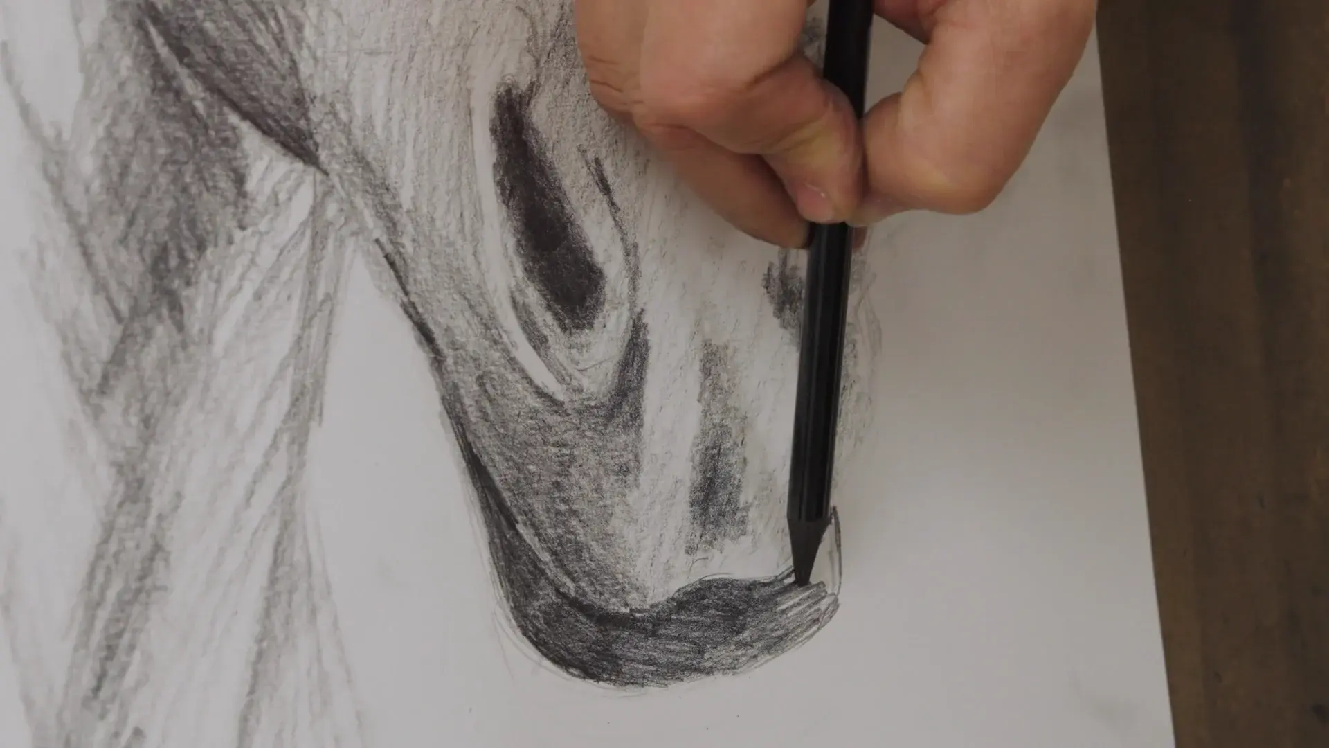 A graphite pencil shading the dark nostril and muzzle of the horse