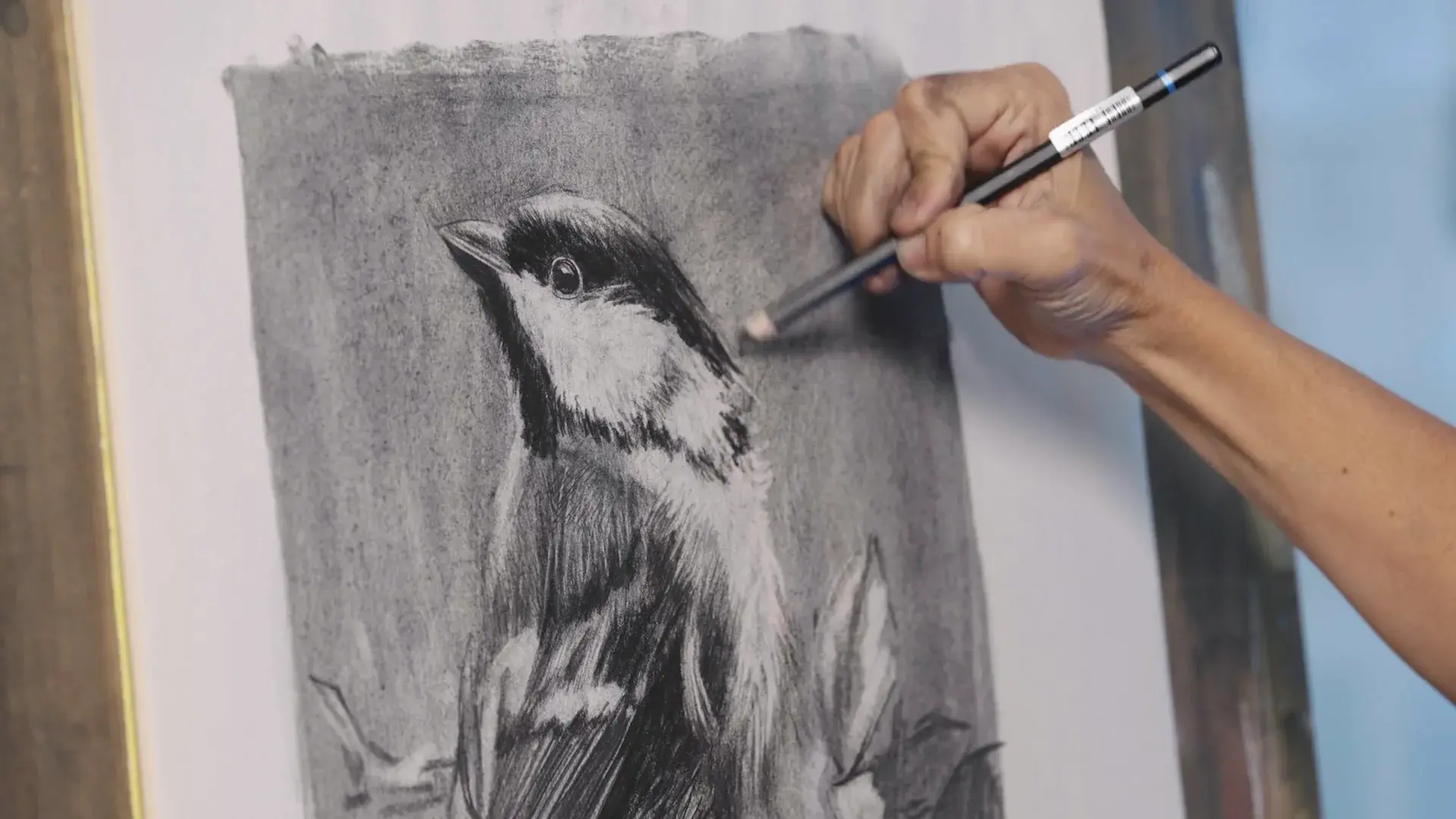 Elli's hand drawing the charcoal chickadee, from lesson 5