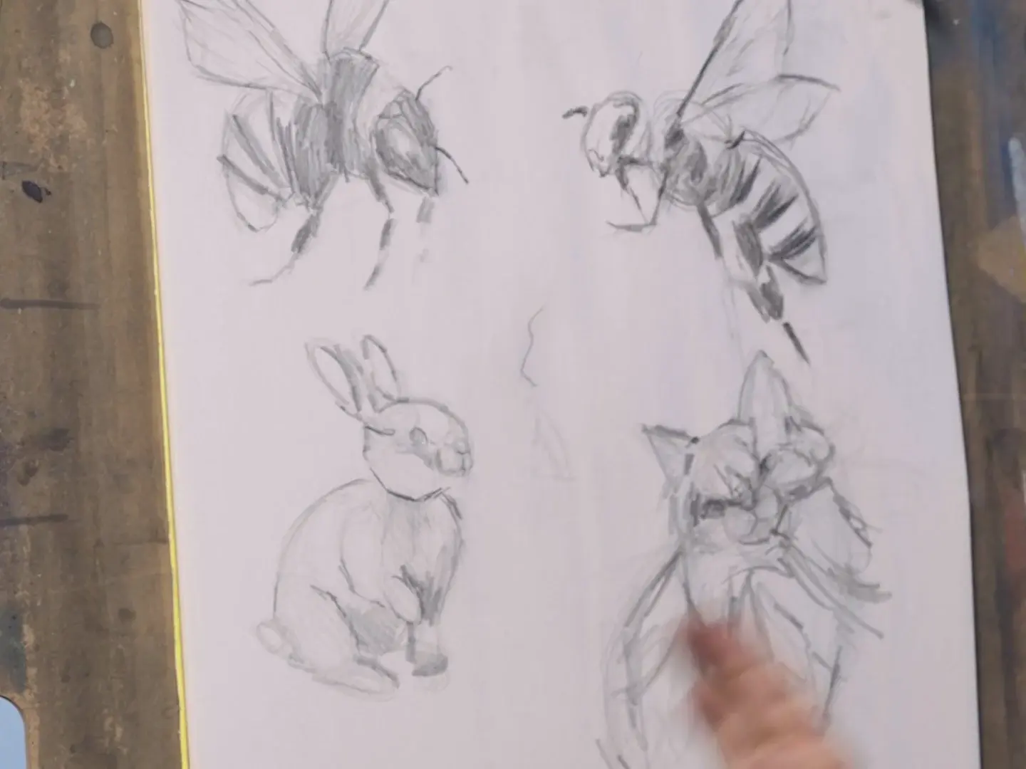 A sheet of quick graphite sketches: two bumblebees, a bunny and a kitten, from lesson 3